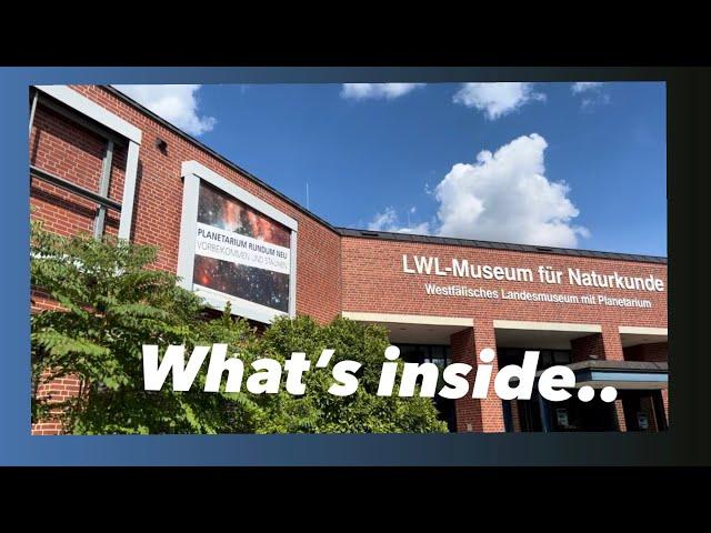 LWL Natural History Museum in Münster, Germany. #museum  #explore #discovery #germany