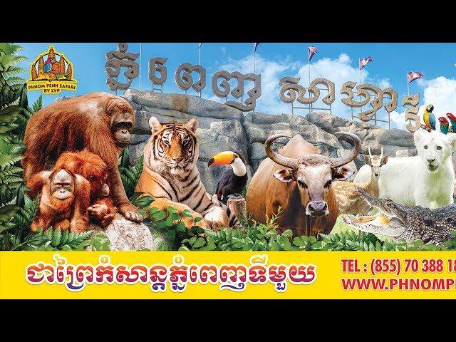 Welcome to Phnom Penh Safari