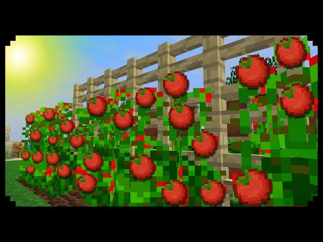  Minecraft: How to make Tomato Plants