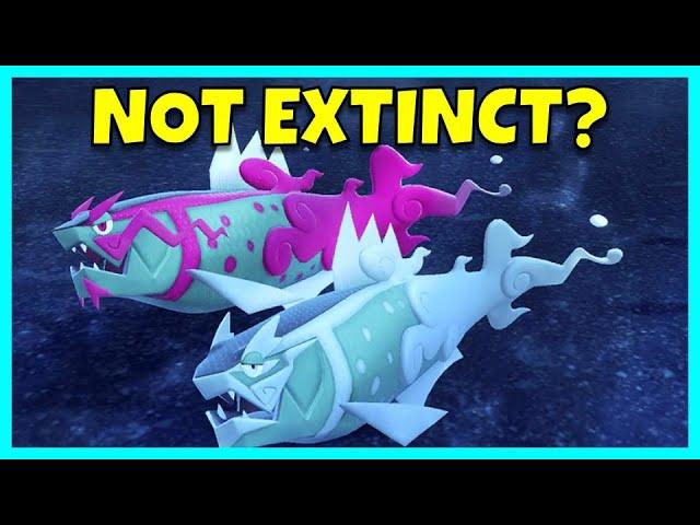 Hisuian Pokémon are NOT Extinct?! - Basculegion’s NEW LORE