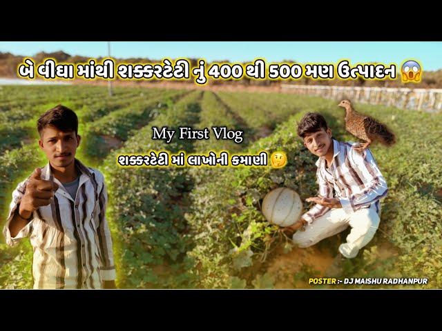 2 વીઘા માંથી શકકરટેટી નું 400 થી 500 મણ ઉત્પાદન  l ખેડૂત પુત્ર મહેશ ઠાકોર કોલાપુર l My First Vlog