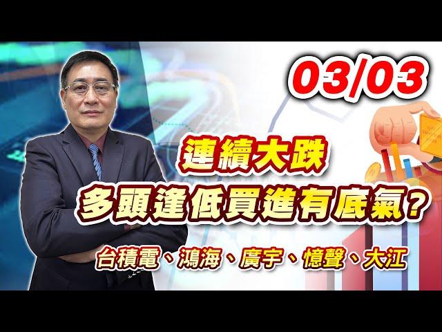 2025/03/03   連續大跌，多頭逢低買進有底氣? |台積電、鴻海、廣宇、憶聲、大江 | 何文高分析師 股市獲利王