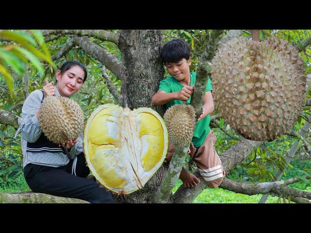 Giant fresh durian from the tree - amazing 2 recipes with big durian - Wonderful durian Fruit