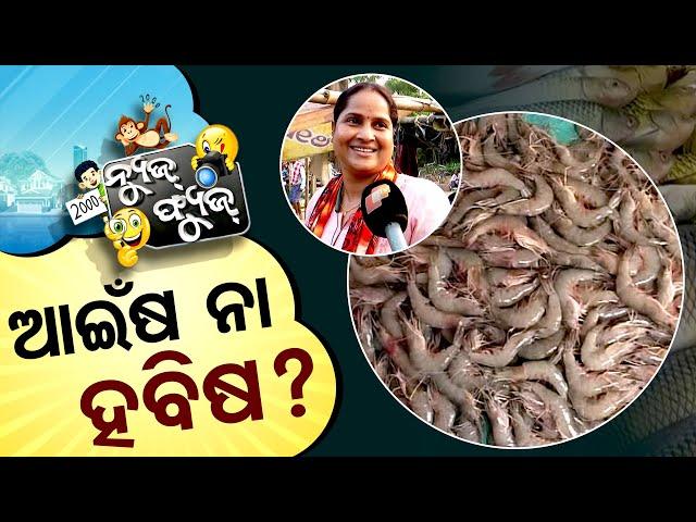 News Fuse 12 NOV 2024 | ଭଣ୍ଡାର ଘରେ ଭୂତ ! | ଫ୍ୟୁଜ୍ Views