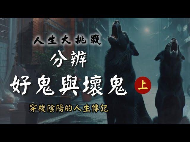 【第14話】抓不完的陰間地痞流氓【人生大挑戰】張國松｜黑灰氣體團｜渡畜牲者｜靈魂出竅