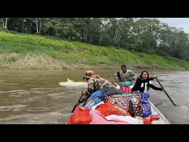 CANOA FURA E ALAGA /TRONCO NO FUNDO DO RIO/LAGO AMANÃ ATÉ TEFÉ/AMAZÔNIA/DOIS DIAS DE VIAGEM.