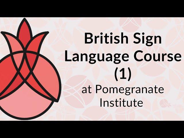 BSL Course (1) at Pomegranate Institute
