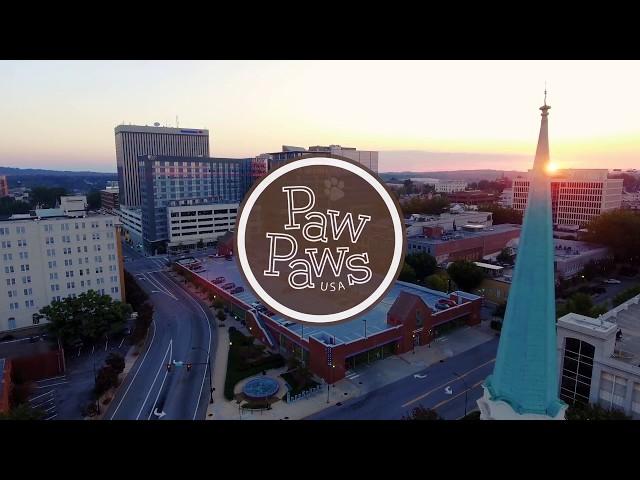 Paw Paws USA window art contest winners 2017
