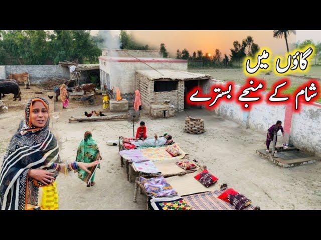 Gaon Mein Sham Ke Manjay Bistray  || Village Life Style Routine || Ayra Village