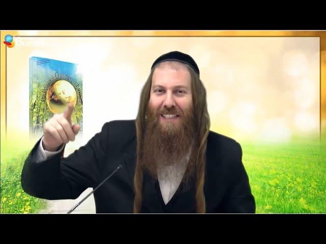 [4] There are No Accidents! | Rabbi Yonatan Gal’ed  // The UNIVERSAL Garden of Emuna