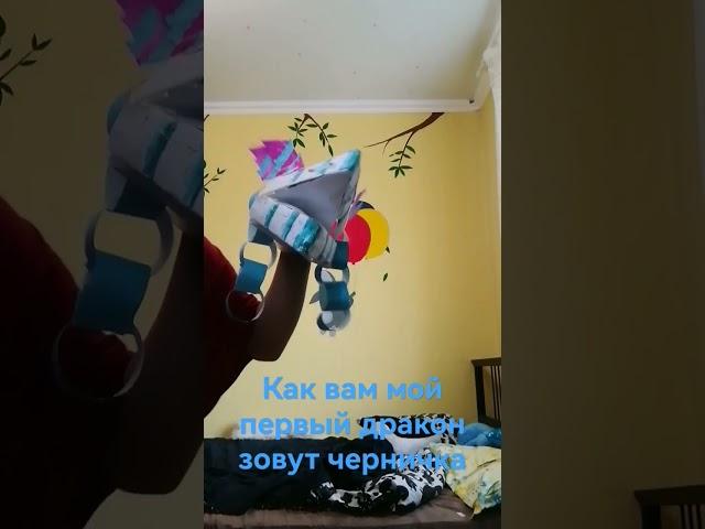мой первый дракон