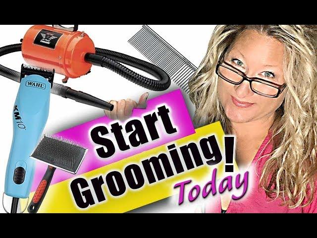 Get Started as a Pet Groomer-Tools You Need