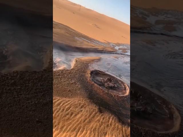 That's why Saudi Arab is rich