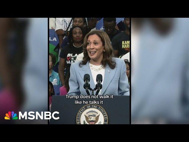 Kamala Harris rides viral meme 'wave' as campaign seizes organic momentum