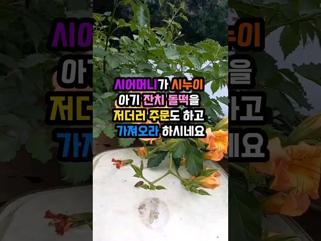 시어머니가 시누이 아기 잔치 돌떡을 저더러 주문도 하고 가져오라 하시네요