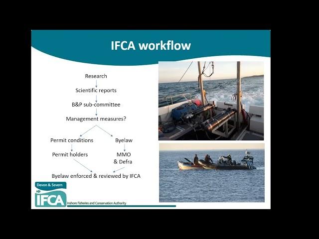 The Management of Whelk & Mussel Fisheries in North Devon