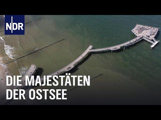 Die Seebrücken von Mecklenburg-Vorpommern | die nordstory | NDR Doku