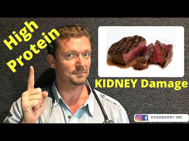 Does a High Protein Diet cause Kidney Disease? [WARNING: Myth Alert]