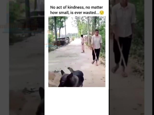 Act of Kindness #help #motivation #Shorts