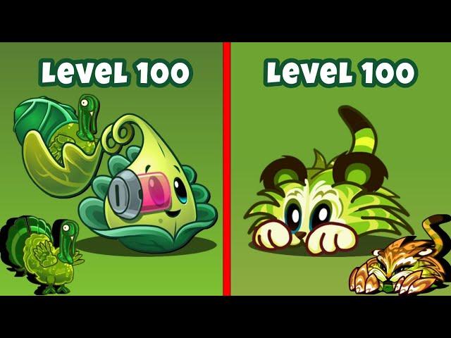 PvZ 2 Turkey Pult Level 100 vs Tiger Grass Level 100. Who is More Powerful?