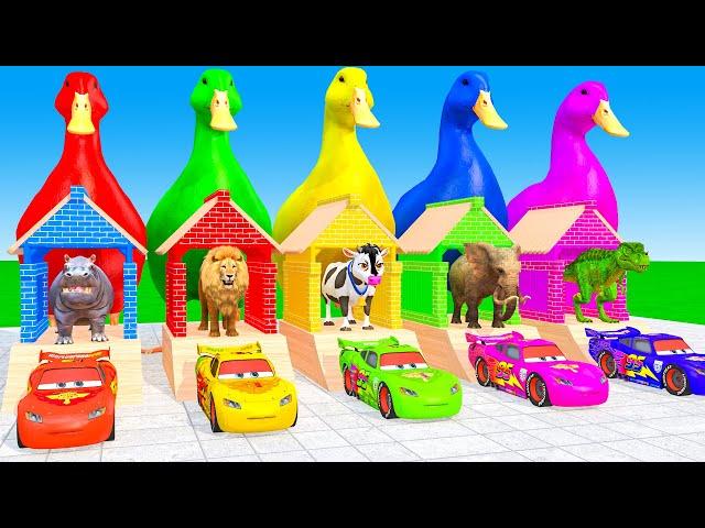 5 Giant Duck Cartoon,Cow,Elephant,Tiger,Lion,Dinosaur,Paint Wild Animals Crossing Fountain Animation