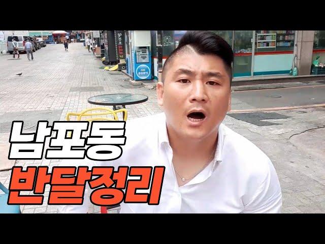 [위대한] 위대한이 아침산책을 나가면 벌어지는 일