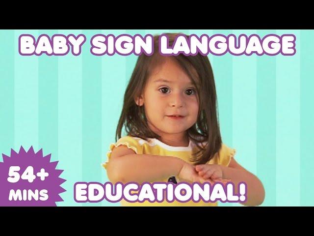 Baby Sign Language | Baby Sign Language Basics | Sign Language for Babies