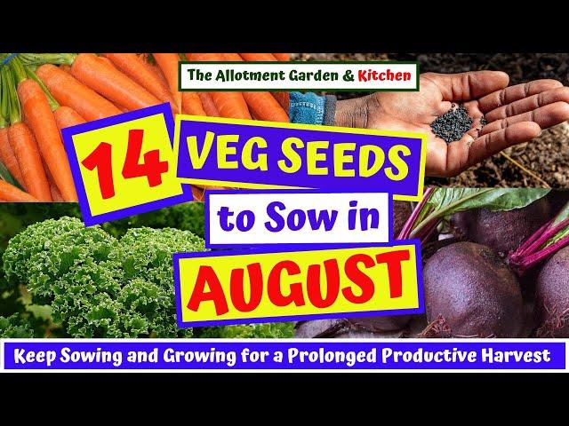 What Veg Seeds to Sow in August | Easy to Grow Veg for an Extended Summer/Autumn/Winter Harvest #122