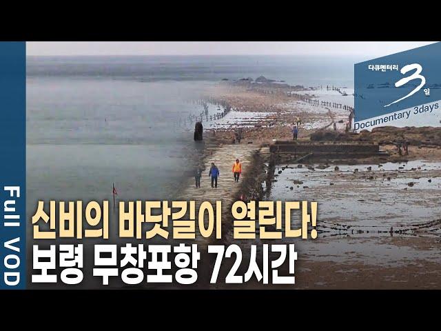 3040 도시인들이 몰려든다! '바다가 좋다!' 충남 보령 무창포 72시간 [다큐3일 KBS 20191101 방송]