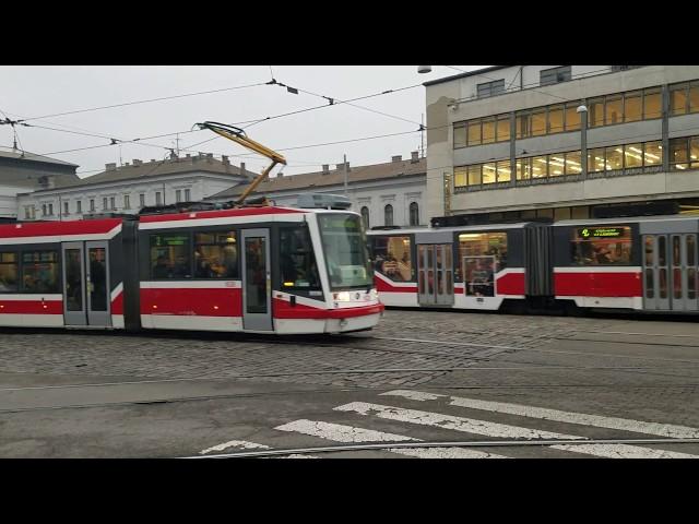 Brno Trams at Rush Hour #shorts