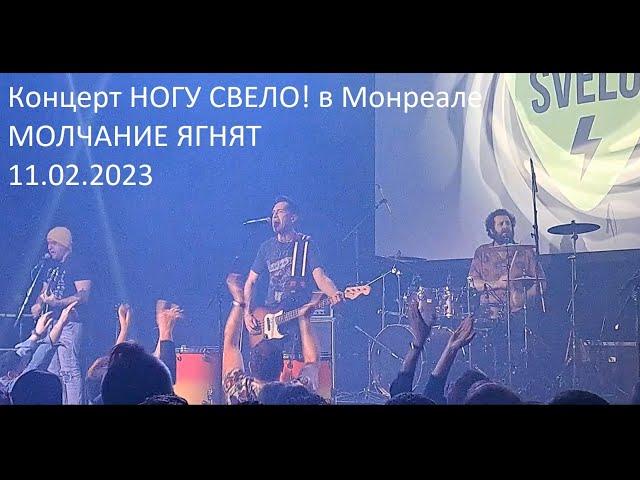 Ногу Свело! - Молчание ягнят Live Концерт в Монреале 11.02.2023@NoguSvelo  ​