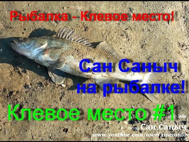 The pike perch 2 kg of the lake Quitrent in Tyumen from may 1, may day to all