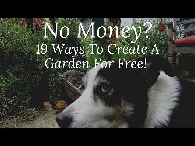 No Money? Here's 19 Ways You Can Create A Garden For FREE!