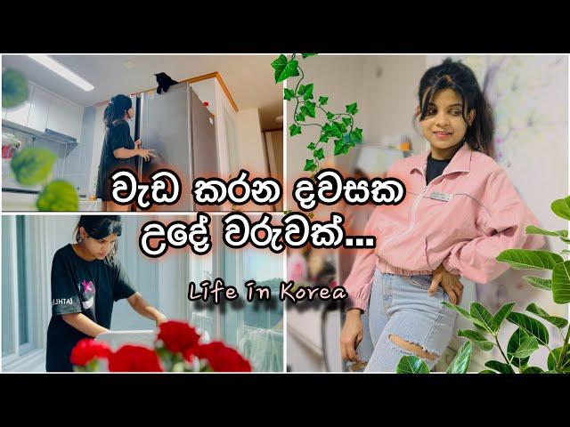 උදේම මගෙන් බැනුම් අහන්නේ කවුද බලන්නකෝ  | Morning Vlog | Working Day | sinhala vlog