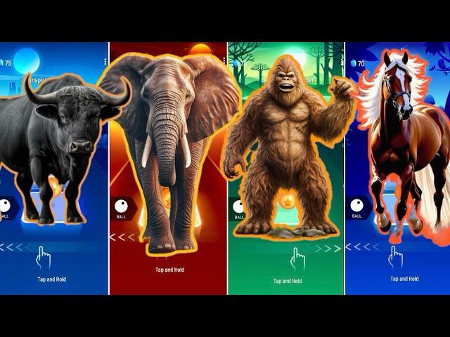  The Buffalo  vs The Mammoth  vs The Monkey  vs The Horse  | Coffin Dance 🪩