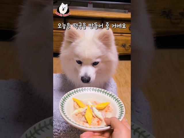 강아지도 설날엔 떡국먹어야지