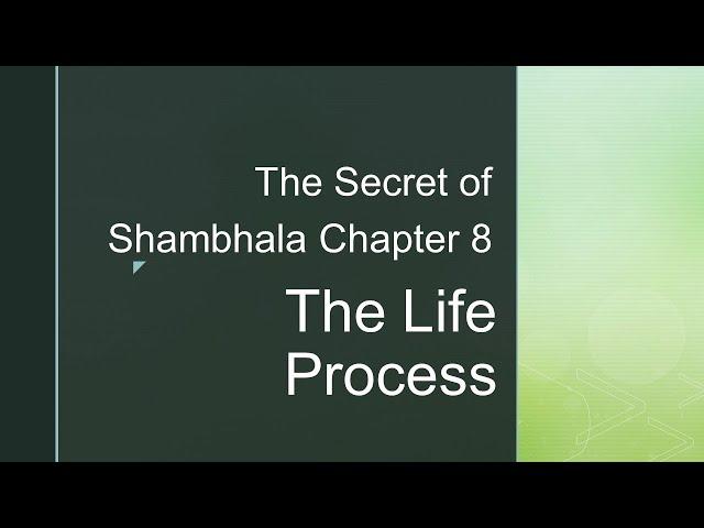The Life Process | Chapter 8 | The Secret pf Shambhala in Search of the 11th Insight (Redfield)