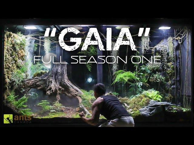 "GAIA" Full Season One Compilation - The AntsCanada Ecosystem Vivarium Series