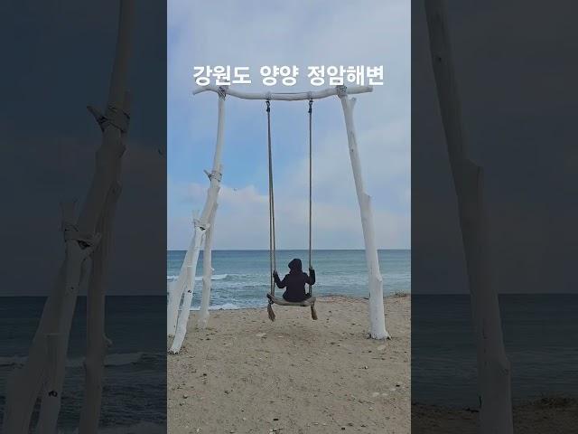 #강원도여행  #양양여행  #양양가볼만한곳  #정암해변   #정암해수욕장  #겨울바다여행  #shorts