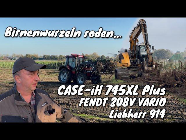 Obsthof Raddatz - Birnenwurzeln roden | CASE-iH 745XL Plus | Liebherr 914 | FENDT 208V VARIO