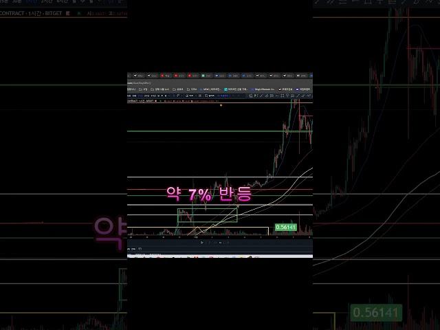 XRP 매수 타점 #비트코인 #가상화폐 #투자 #코인투자 #비트코인투자 #코인선물 #수익확인 #알트코인 #XRP #리플