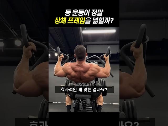 등 운동이 정말 상체 프레임을 넓히는가?