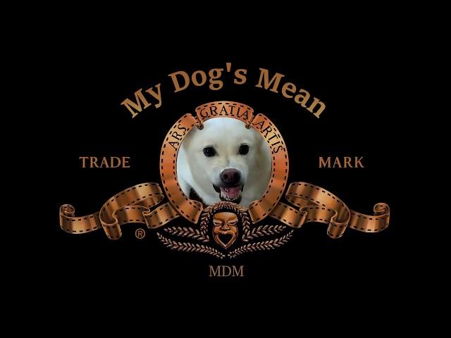 Unveiling my dog as the new face of MGM