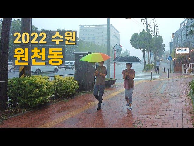 여름 수원 원천동 폭우 빗소리 ASMR 산책 Walk on Suwon in the heavy rain【4K】