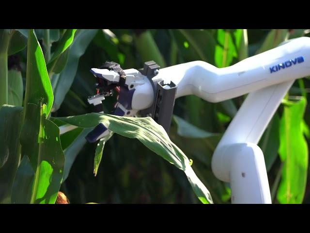 IoT4Ag at Purdue: Autonomous corn monitoring and sampling robot