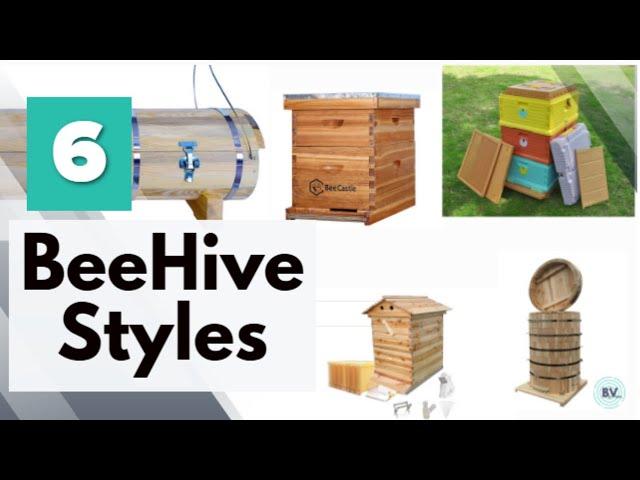 6 Best Beehive For Backyard Beekeepers- Hives for the Backyard Beekeeper