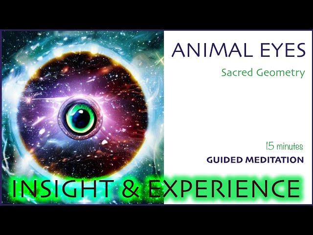 Insight - Experience Reality from 3 Animals' Perspectives Guided Meditation - Sacred Geometry