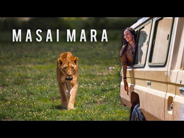 Is a Masai Mara Safari Worth the Hype? (Honest Opinion)