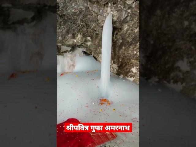 श्री पवित्र गुफा अमरनाथ #amarnath #amaranthyatra #amarnathyatra2023 #holycave #Baltal #pahalgam