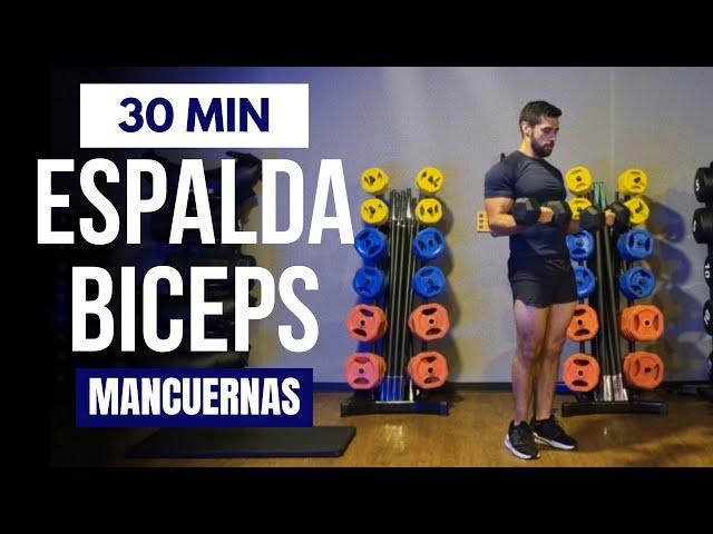 rutina espalda y biceps con mancuernas en casa  rutina PULL 30 minutos